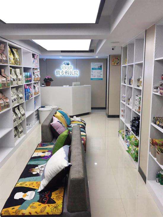 杭州专业动物医院装修,杭州专业动物医院怎么装修,杭州宠物医院装修