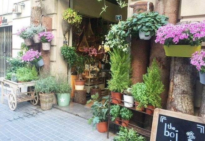 杭州鲜花店装修设计,女孩子们都喜欢的专业鲜花店装修,鲜花店装修