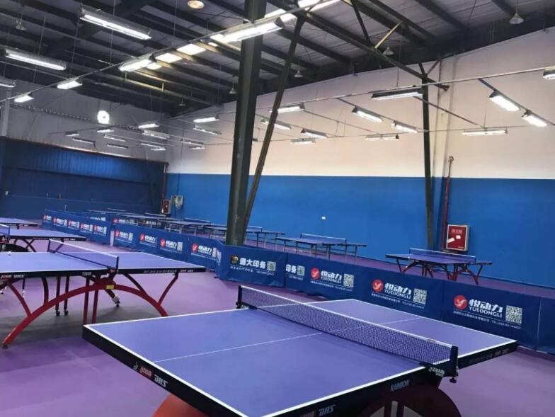 杭州乒乓球馆装修设计效果三,乒乓球场地的地面地面应为木制或经国际